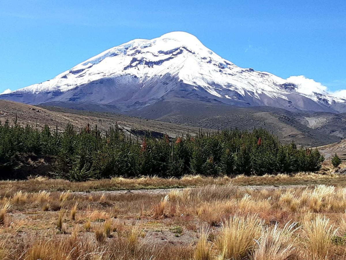 Hospedaje Chimborazo Exterior foto